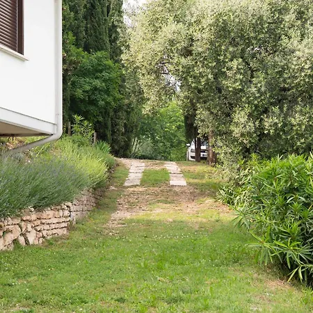 Villa Margherita - In The Heart Of The Wine Land *